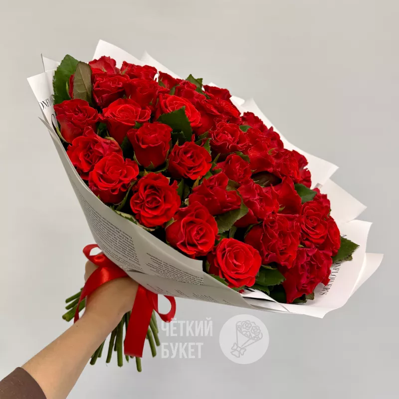 51 яркая алая красная роза Эльторро 2