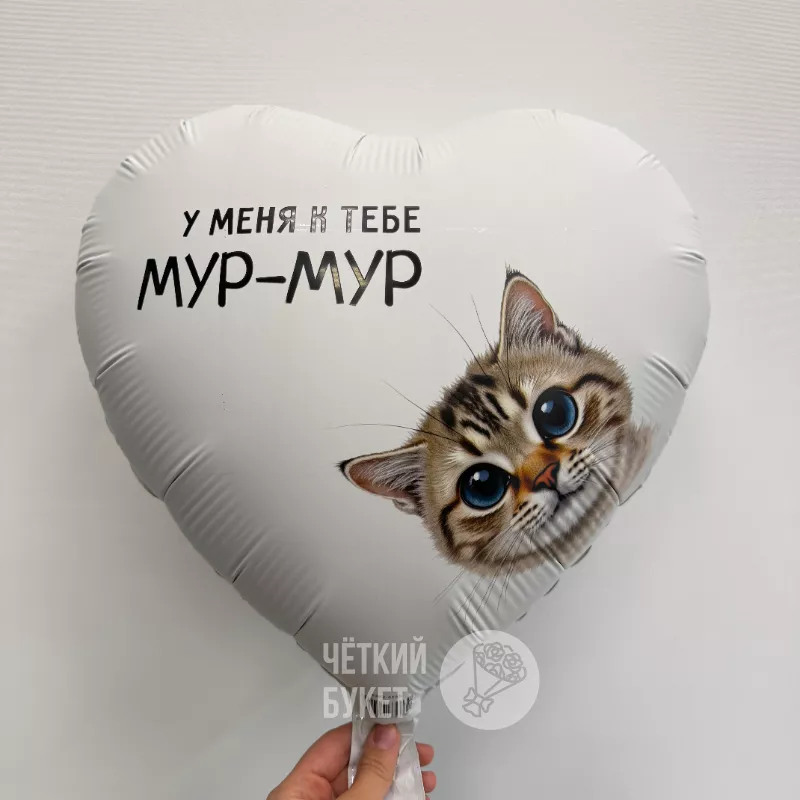 Шар с гелием &laquo;У меня к тебе Мур-мур&raquo;