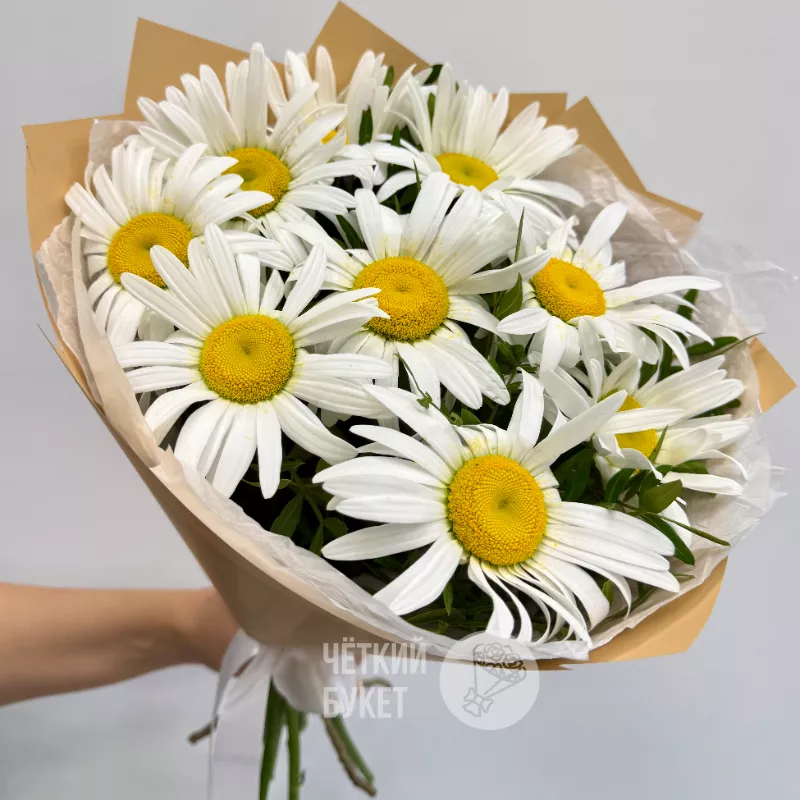 Букет из 9 ромашек с зеленью фисташки 1