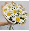 Букет из 9 ромашек с зеленью фисташки 1