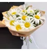 Букет из 9 ромашек с зеленью фисташки 3