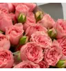 15 кустовых пионовидных розовых роз Спешл Дайменшен 3