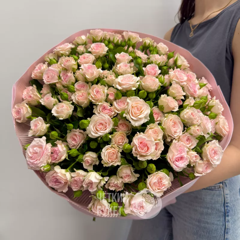 25 нежно-розовых кустовых роз Аэробик 1
