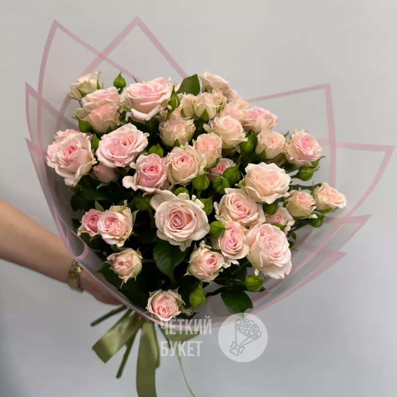 9 кустовых нежно-розовых роз Аэробик 1