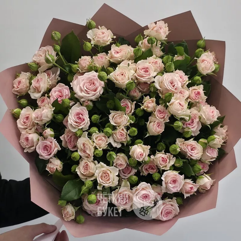 15 нежно-розовых роз Аэробик 1