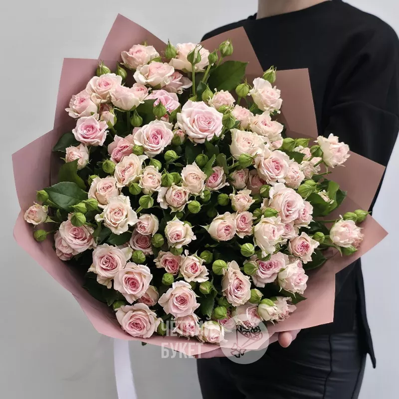 15 нежно-розовых роз Аэробик 2