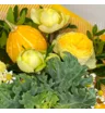 Солнечный букет-комплимент с желтой тыквой и брассикой