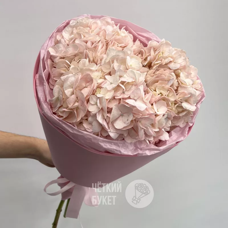 Букет из 3 розовых гортензий 2