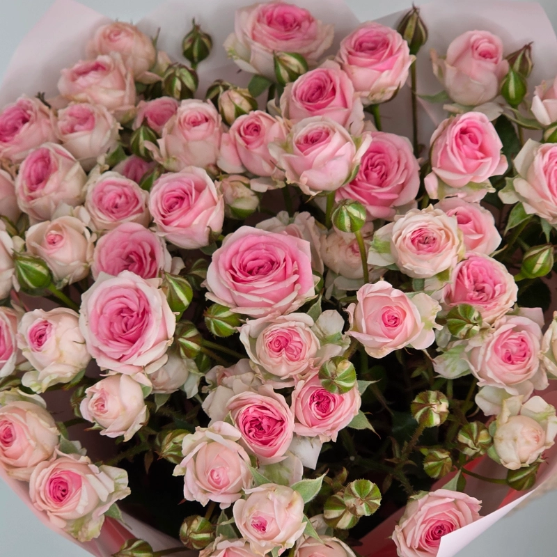 Букет из 9 кустовых розовых роз Кейтлин 4