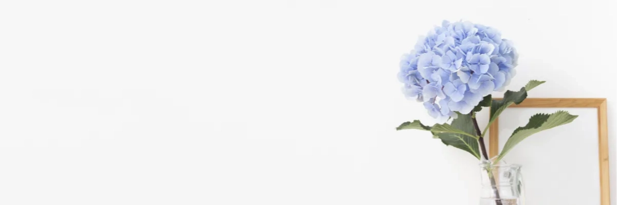 Бесплатная доставка<br>по городу